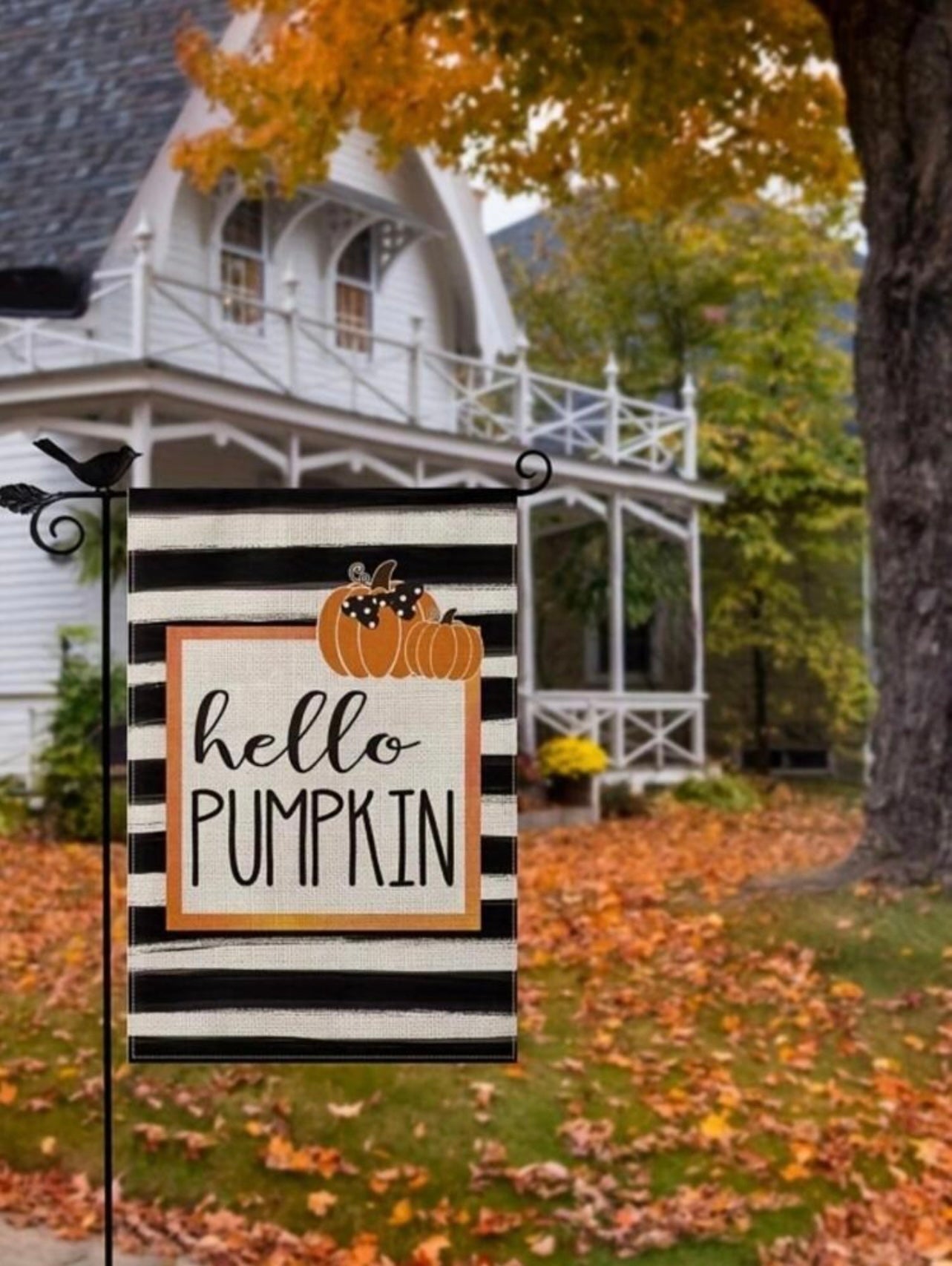 Hello Pumpkin Garden Flag